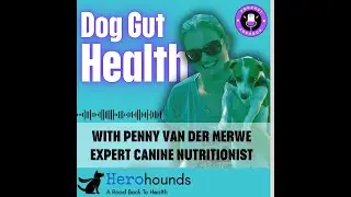 🔴 Watch Now: Gut Health in Dogs with Expert Penny van der Merwe!