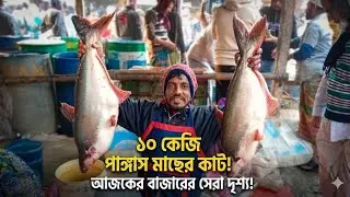 Unbelievable Giant Fish Cutting #Live | Real Market Experience | Dulal Fish Cutting #fish #fishing🦈🐋