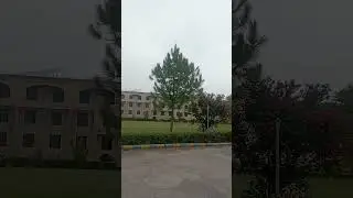 BISE Kohat #bisekohat #kohat #education #reel #pakistan #ibcc #highereducation
