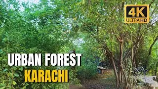 Urban Forest Clifton | Epic Karachi 4k UltraHD