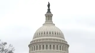 Redistricting proposal could delay minority representation