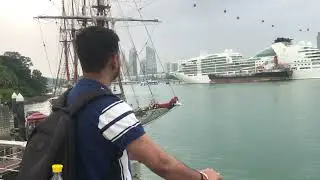 Sentosa Sea Aquarium Museum | Cruise at Sentosa Singapore  @VisitSingapore @Akshaydoctor #shorts