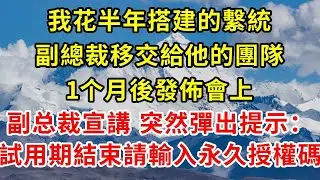 我花半年搭建的繫統，副總裁移交給他的團隊。1个月后发布会上，副总裁正在宣讲，突然彈出提示：「試用期結束，請輸入永久授權碼」