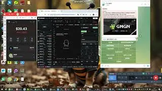 pumpbot 开盘买入 卖出