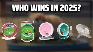 The Top 5 Best Hamster Wheel in 2025 - Must Watch Before Buying!