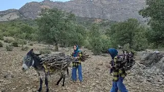 Кочевая жизнь в горах Загрос. Девушка-кочевница собирает дрова.