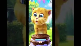 Talking Ginger birthday fun #viral #gamiino #talkingfriends #talkingtom #foryou #trending #tom