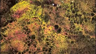 DIY Acrylic Pouring | Fluid Art | Perfect Cell Formation | Pouring Through Funnel 🎨