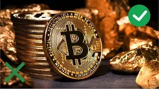 Crypto, Stocks or AI? The BEST Investment for 2026 (Digital Gold Rush Explained)