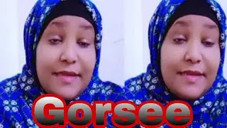 🟢Gorsee Dhadhabee Na Dhagahuu Didee Maalif Akkaa Tahee hin Bekuu