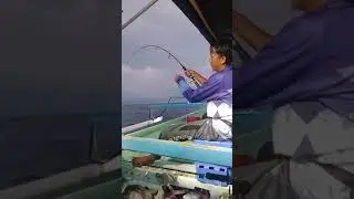 kurisi babon #mancingmania #mancinglautdalam #mancing #hobimancing #fishing