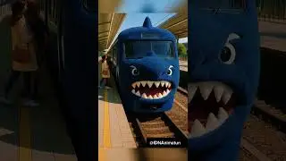Subway Shark🦈 #shark #subway #cute