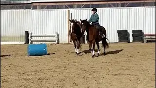 Exercise Two Horses at the Same Time: Learn how to Pony your Horse