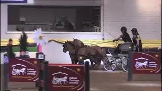National driving championships 2025