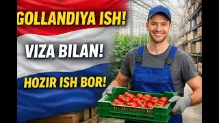 NIDERLANDIYA MAVSUMIY ISH SAYTLARI