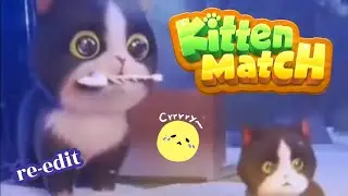 Kitten Match Ads video re-edited 2023.07.22🐹👩
