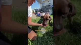 Watch This Skinny And Hungry 