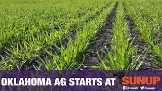 Preparing for Wheat Planting (9/5/20)