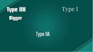 muscle fiber types