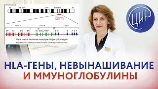 HLA-гены, гемохроматоз, наследование и применение иммуноглобулинов при бесплодии и невынашивании.