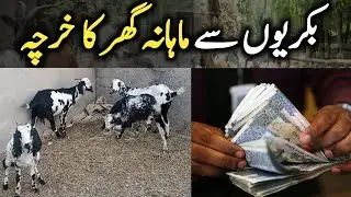 Goat Farming Monthly Income | Bakrio se Mahana Amdan | Goat Farming Profit income | Goat Farming