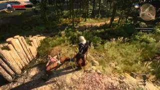 Geralt being mean.