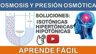 OSMOSIS Y PRESIÓN OSMÓTICA. (SOLUCIONES: ISOTÓNICAS, HIPERTÓNICAS, HIPOTÓNICAS). MEDIO INTERNO. #7