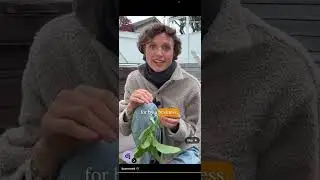 Broad exposed for money demons (funny)