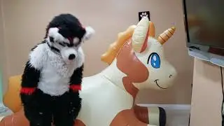 Giant Inflatable Phenod Unicorn Review: It's Finally HERE!