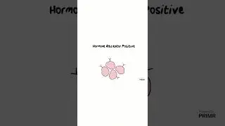 What is the role of #hormonetherapy in #breastcancer?