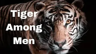 Tiger Among Men