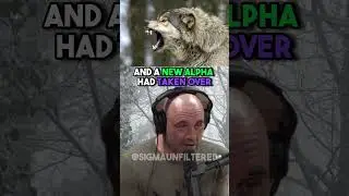 This Man LIVES WITH WOLVES | JRE