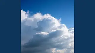 Spin Me Wrong