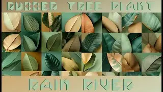 Rain River - Sonica Botanica