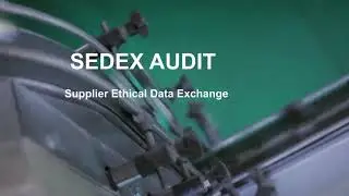 Understanding Sedex Audit: Boosting Business Success through Ethical Practices