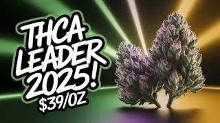 Why THCA Small Buds are the Must-Try Hemp of 2025!