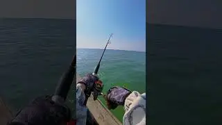 Fishing for sea bass#Tie the fishhook#fishingtips # fishing #Fishing life