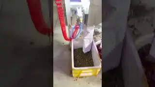 Compact Coffee Cherry Color Sorter for Small Farms | Save Labor, Boost Quality ☕🚀 #colorsorter