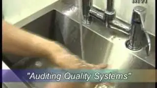 Auditing Quality Systems