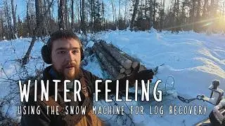 Winter Felling - Snow Machine Log Recovery