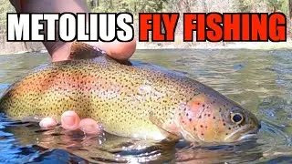 Fly Fishing the Metolius River - Fly Fishing for Big Trout - Three Guys and One Dog