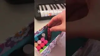 organize my lip box with me
