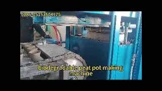 biodegradable peat pot forming machinery supplier/peat forming molding machinery