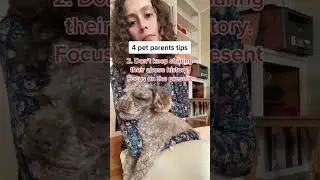 4 pet parents tips #shorts #pets