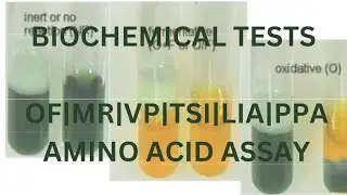 Biochemical Tests for the Identification of Bacteria|PART 2