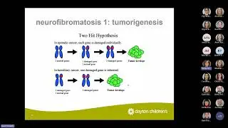 Grand Rounds - Neurofibromatosis and Tuberous Sclerosis: Yes! We Can Help Patients!