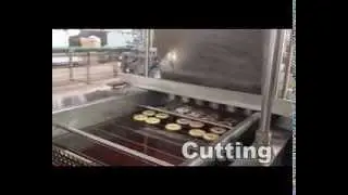 DPL-6C Industrial Donut Machine