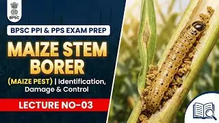 BPSC PPI & PPS Exam Prep | Maize Stem Borer | Identification, Damage & Control | Lecture No-03