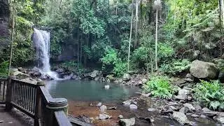 Curtis Falls, Mt Tamborine QLD