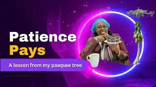 A Business lesson from my pawpaw tree|Subscribe|Like|Share